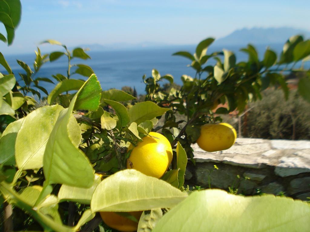 Appartamento Athina Ecofarm Epidaurus Esterno foto